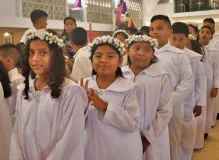 Book Mexitel Citas Online for Fast and Efficient Services