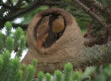 Discover the Exciting Lyrics of Primera Cita - Unveiling Romantic Vibes!