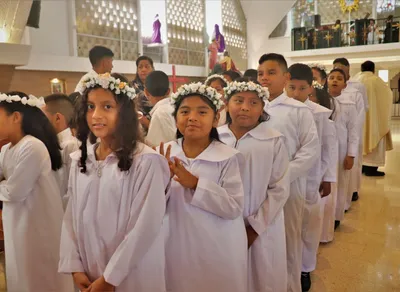 Book Mexitel Citas Online for Fast and Efficient Services